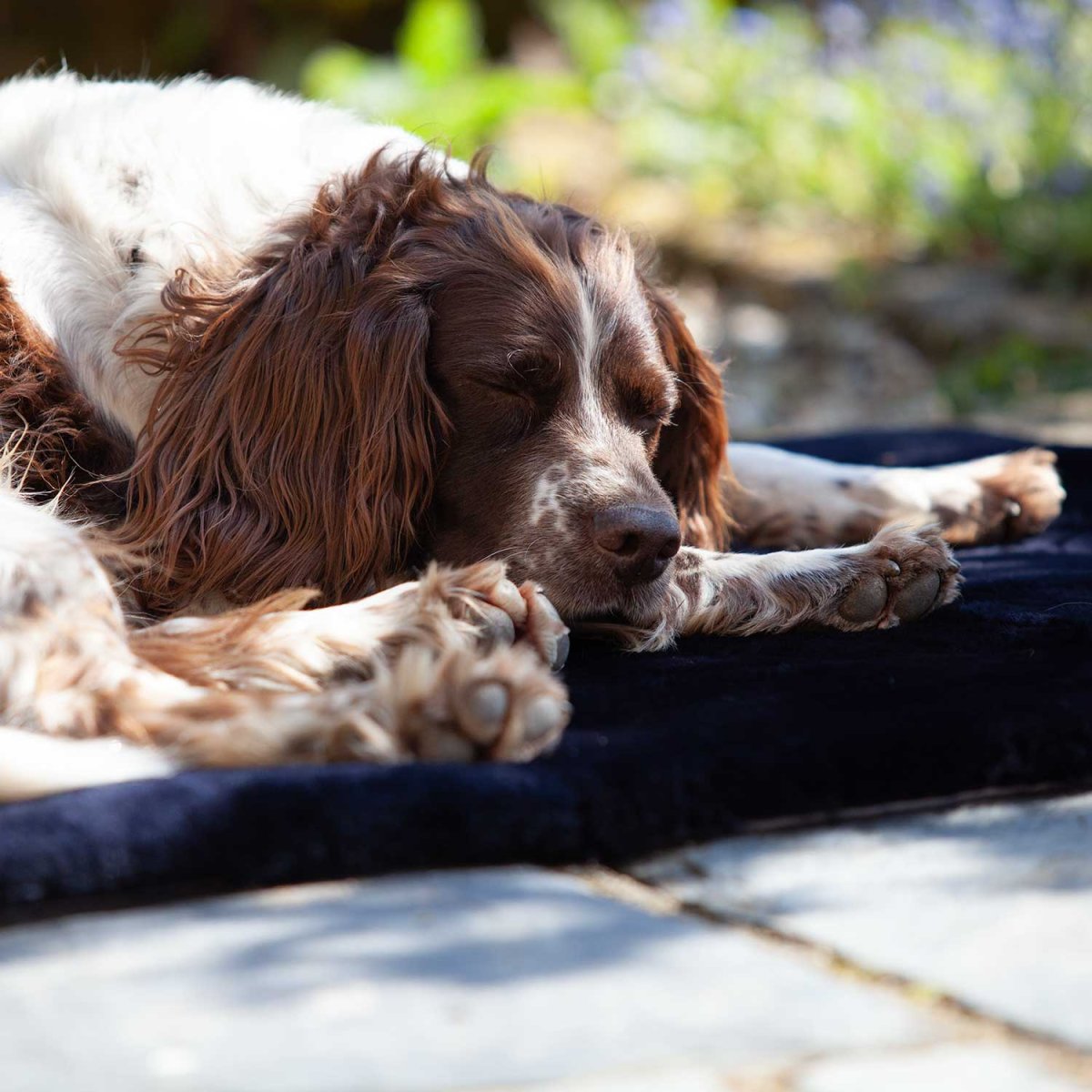 Luxury Sheepskin Pet Bed - Image 2